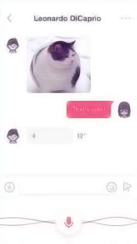 网站防ddos攻击软件程序维护界面